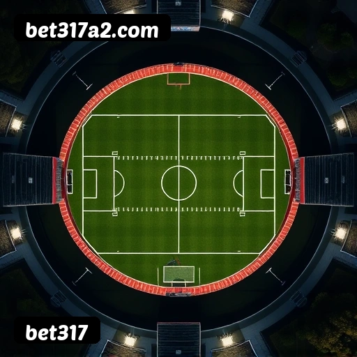 Vantagens exclusivas bet317 para jogadores brasileiros - São Paulo, Rio, BH